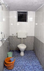 Clean western style toilet and bath