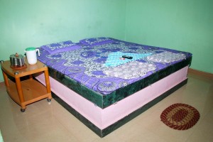 Anandi Residency Nyahari Niwas -room facilities