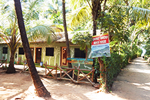 Coconut Garden Beach Home - Exterior View