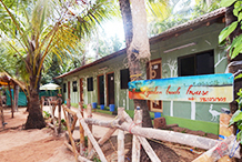 Coconut Garden Beach Home - Exterior View