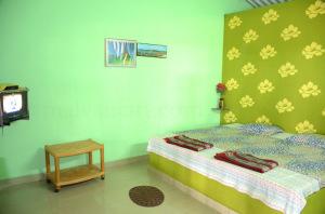 Vasant Vihar - Room interior