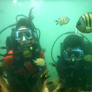Scuba Diving in Malvan