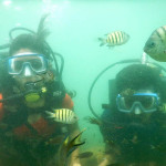 Malvan scuba diving