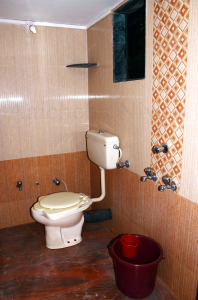 Aaichcha Nyahari Niwa - Bathroom
