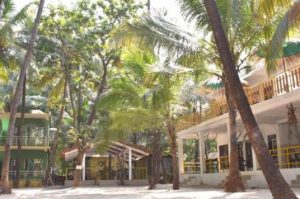 Coconut-Garden-Beach-House-Home-Stay-in-tarkarli