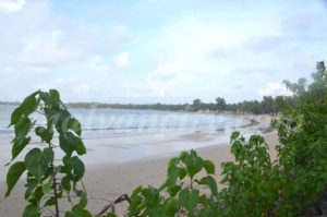 Swami Krupa Beach Resort - Sea View