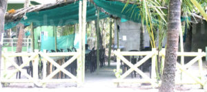 Coconut Garden Beach House - Entrance