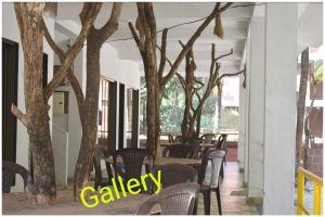Coconut Garden Beach House - Gallery