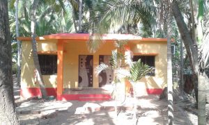 Bhauchi Wadi - Budget Home Stay In Trakarli