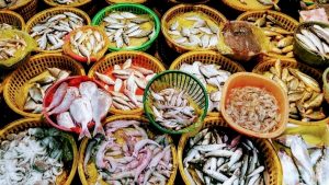 kudal Fish Market