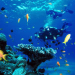 scuba-diving-in-tarkarli